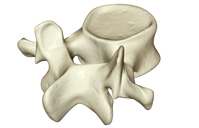 Fracturas de la columna vertebral y de la columna vertebral