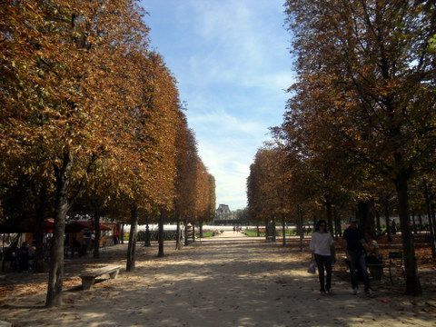 Camine por los Campos Elíseos en París, Francia