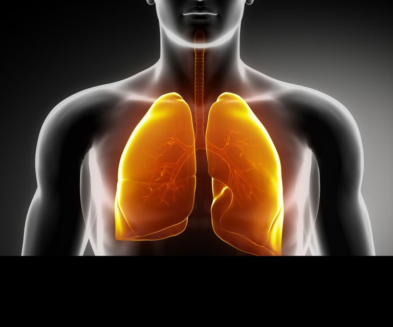 ¿Qué es el cáncer de pulmón en etapa temprana?