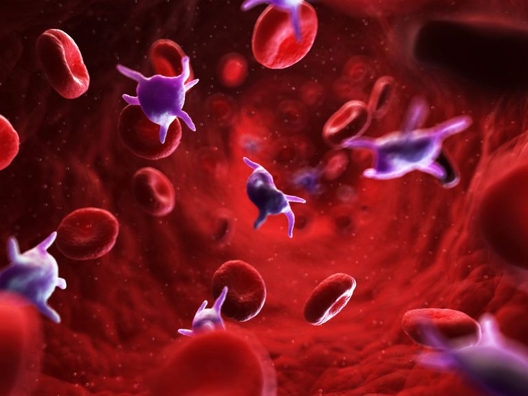 ¿Qué es la Trombocitopenia Inmune?