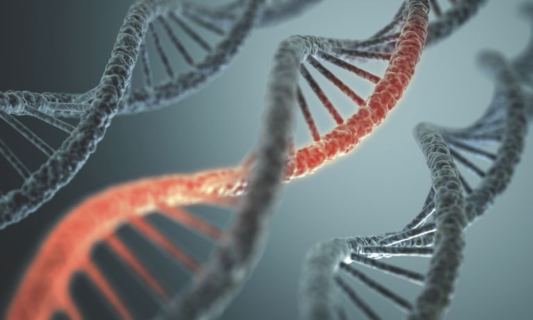 Lo que significa tener una predisposición genética al cáncer
