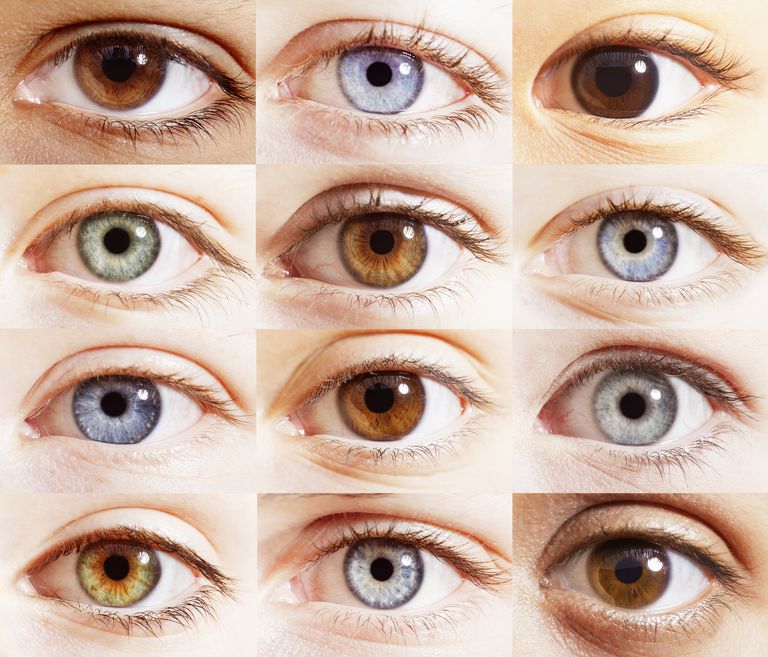 ¿Qué papel juega el ojo en la visión?
