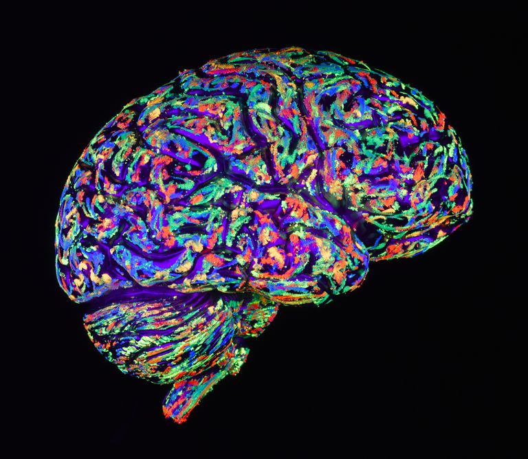 ¿Cuál es la diferencia entre el Alzheimer y la demencia vascular?