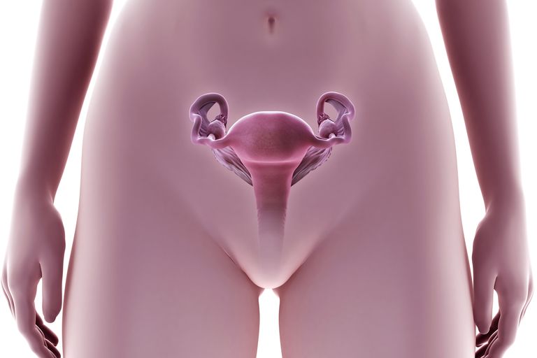 Qué debe saberse antes de una biopsia endometrial