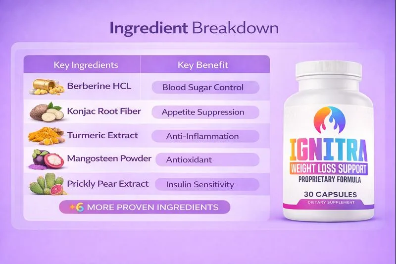 Ignitra ingredients formula berberine turmeric konjac breakdown